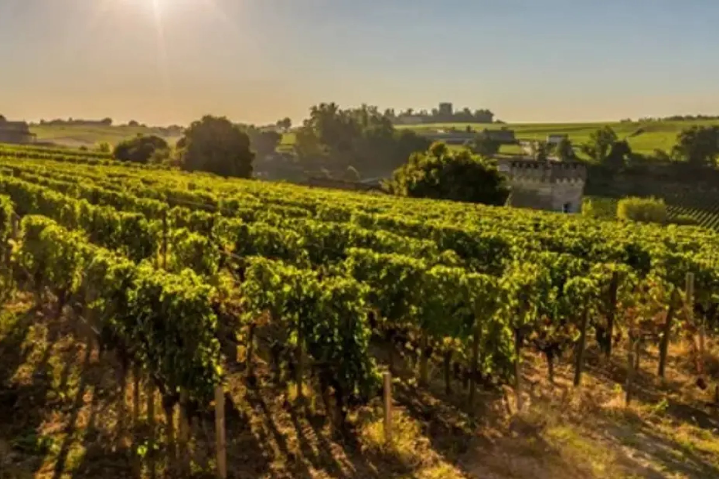 Bordeaux Shore Excursion: Private St-Emilion Half-Day Trip